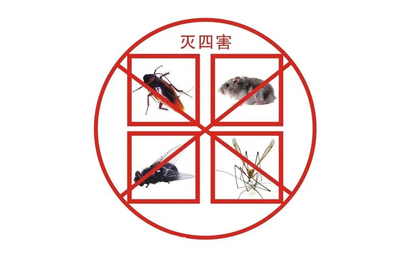 小區(qū)滅四害，有哪些潛在因素？
